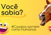 Cavalos sorriem como os humanos