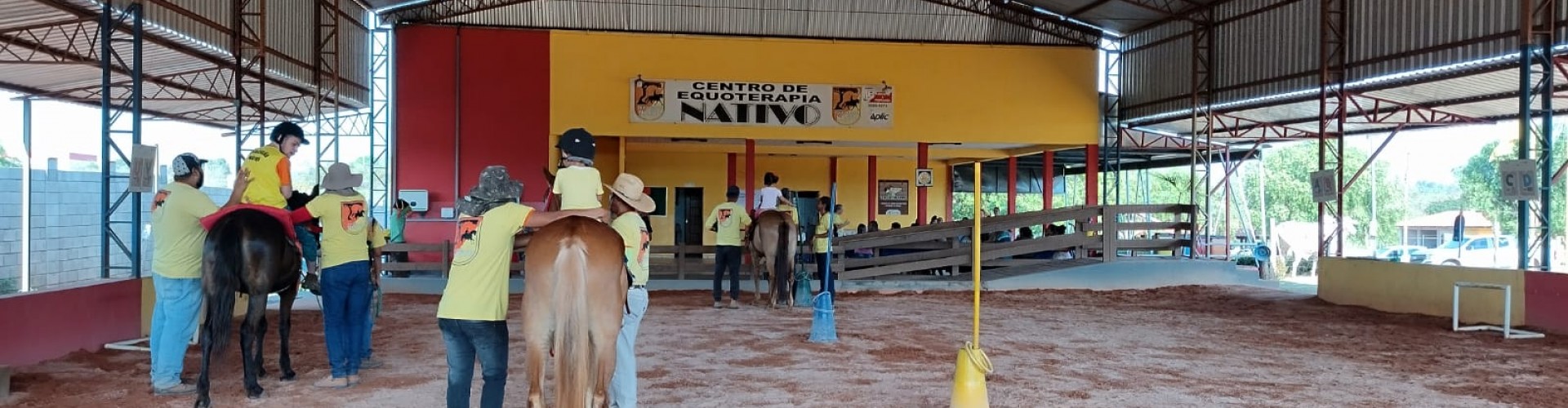 Associação Nativo: Equoterapia com amor.