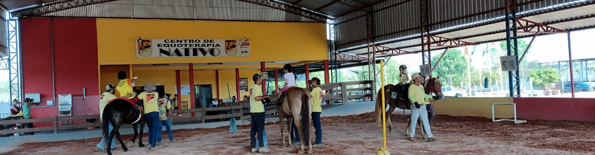 Associação Nativo: Equoterapia com amor.