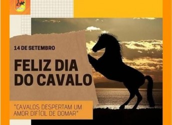 Dia do Cavalo!