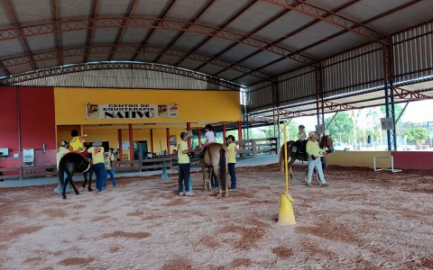 Associação Nativo: Equoterapia com amor.